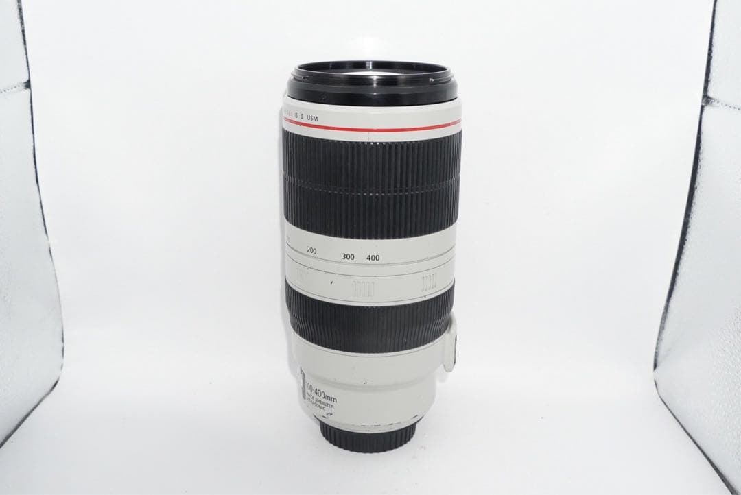 canon EF100-400mm IS Ⅱ