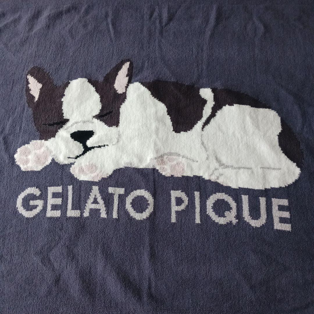 gelato pique　ジェラートピケ　フレンチブルドッグ　ブランケット