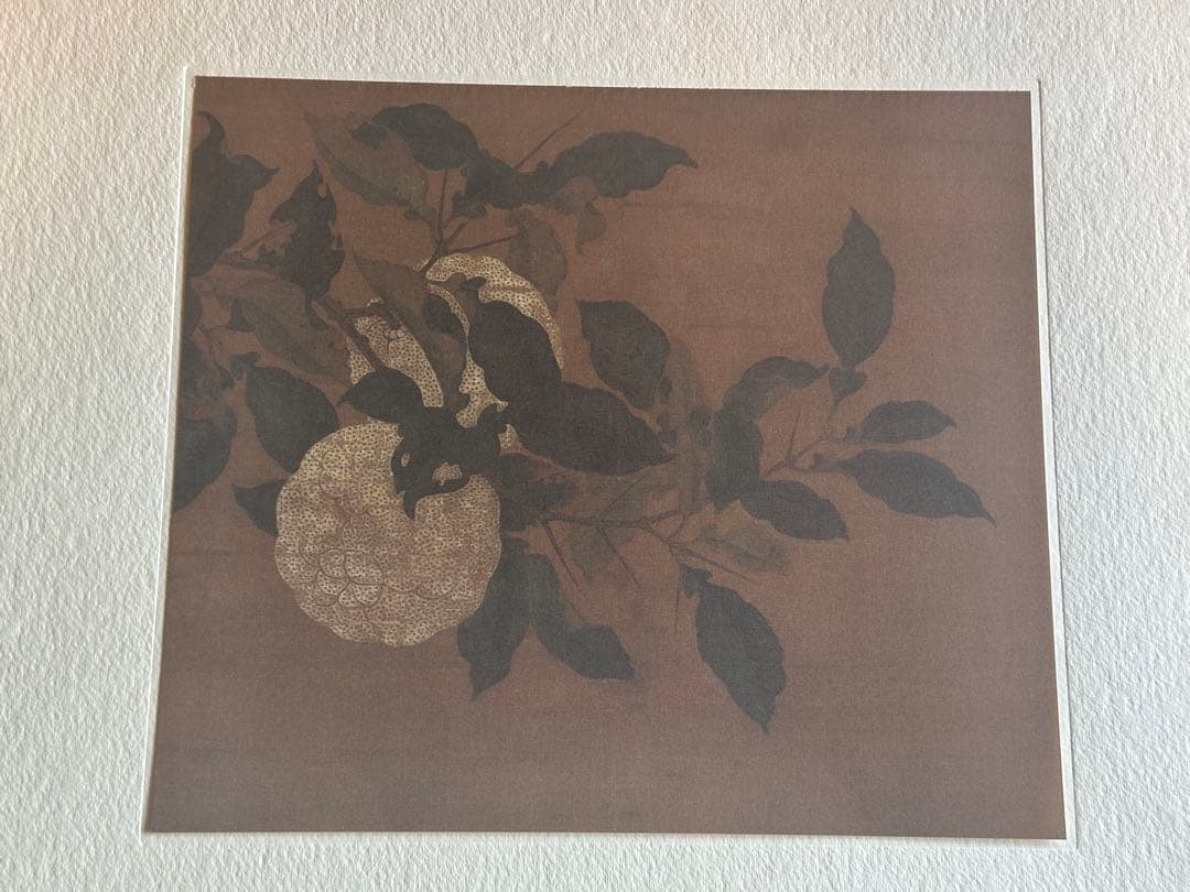 中国絵画　替わり絵12枚　アンティーク　古美術　骨董　中国美術