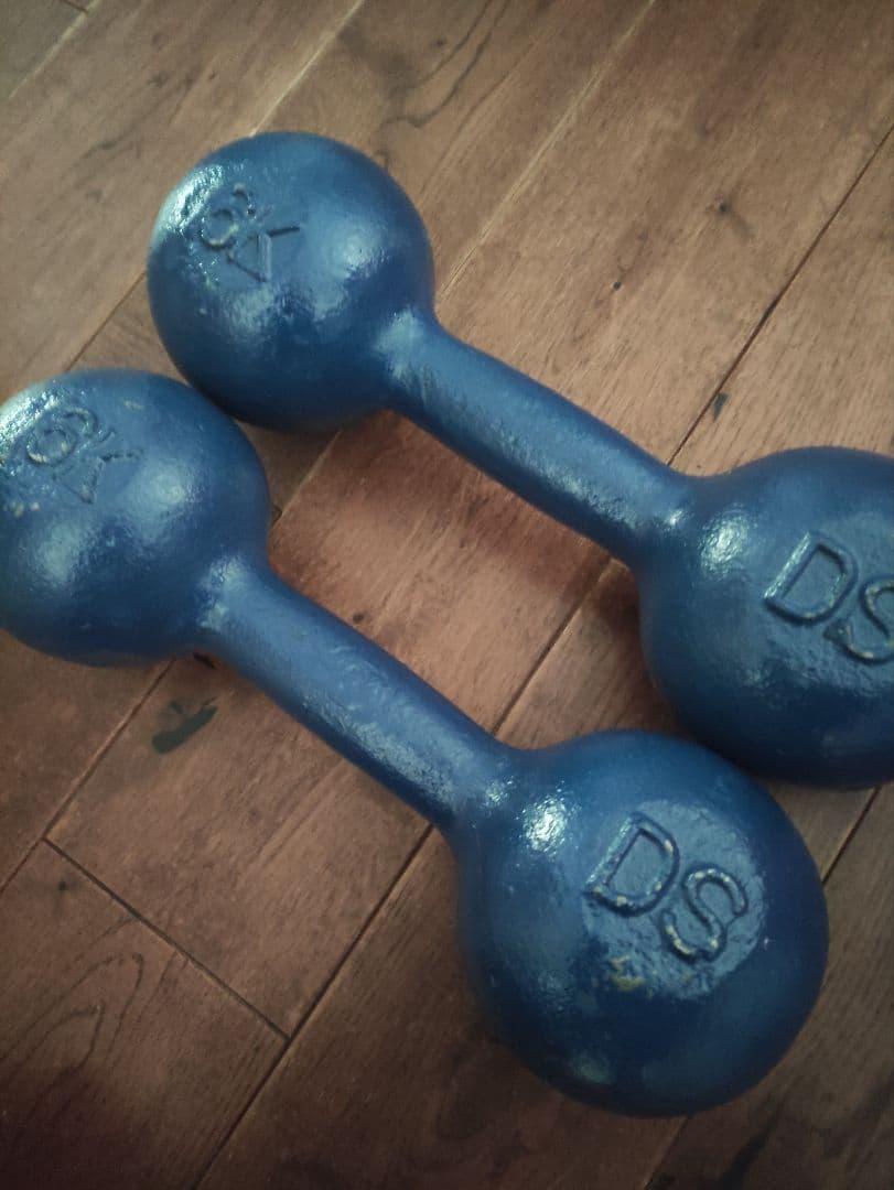 DANNO ダンノ　淡野製作所　１６kg　鉄アレイ　1本　①