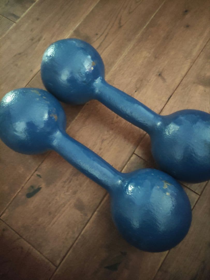 DANNO ダンノ　淡野製作所　１６kg　鉄アレイ　1本　①