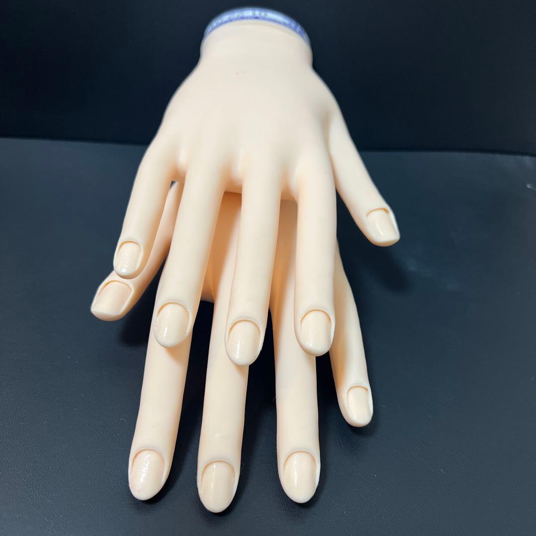 検定用ネイルハンド