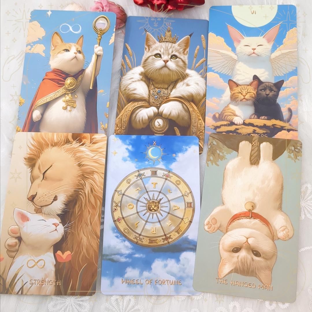 たけちゃん★フォロー割引