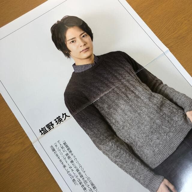 【送料無料】塩野瑛久さん掲載ページ（ポスターサイズ）#7881