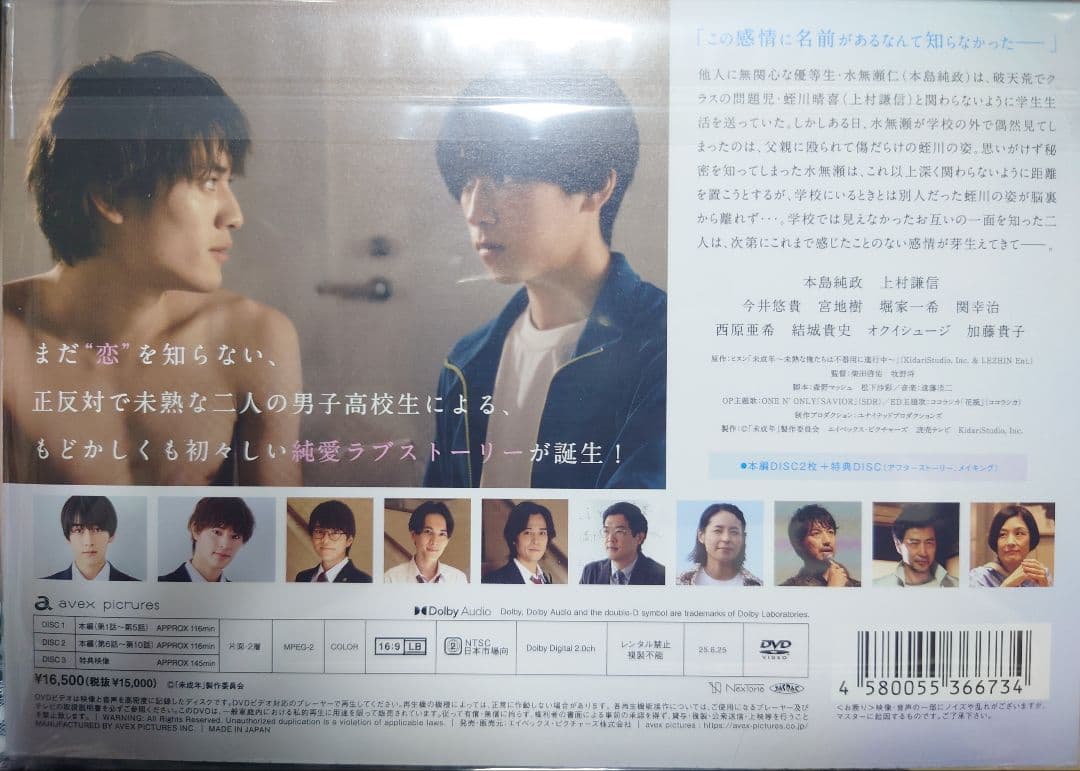 未成年~未熟な俺たちは不器用に進行中~ DVD BOX [DVD]