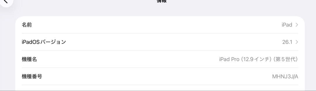 極美品 12.9 iPad Pro （第5世代） Wi-Fi 256GB