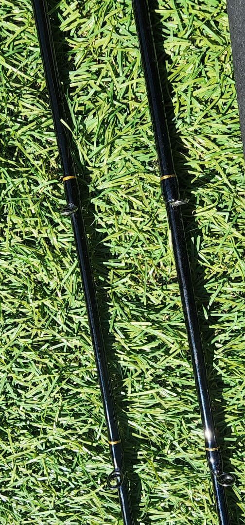 テイルウテイルウォーク　タイゲームtz 　2本セット　c610h C610M