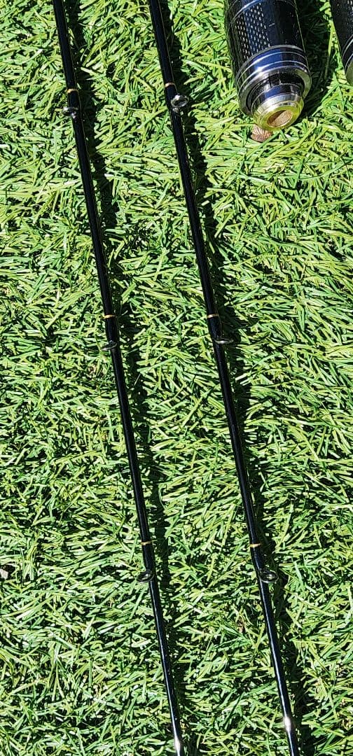 テイルウテイルウォーク　タイゲームtz 　2本セット　c610h C610M