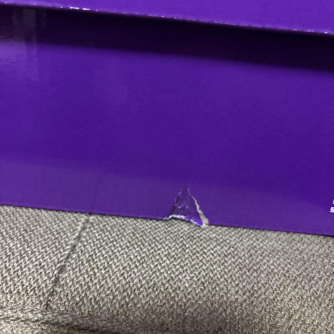 29センチNIKE SB DUNK HIGH PRO DECON