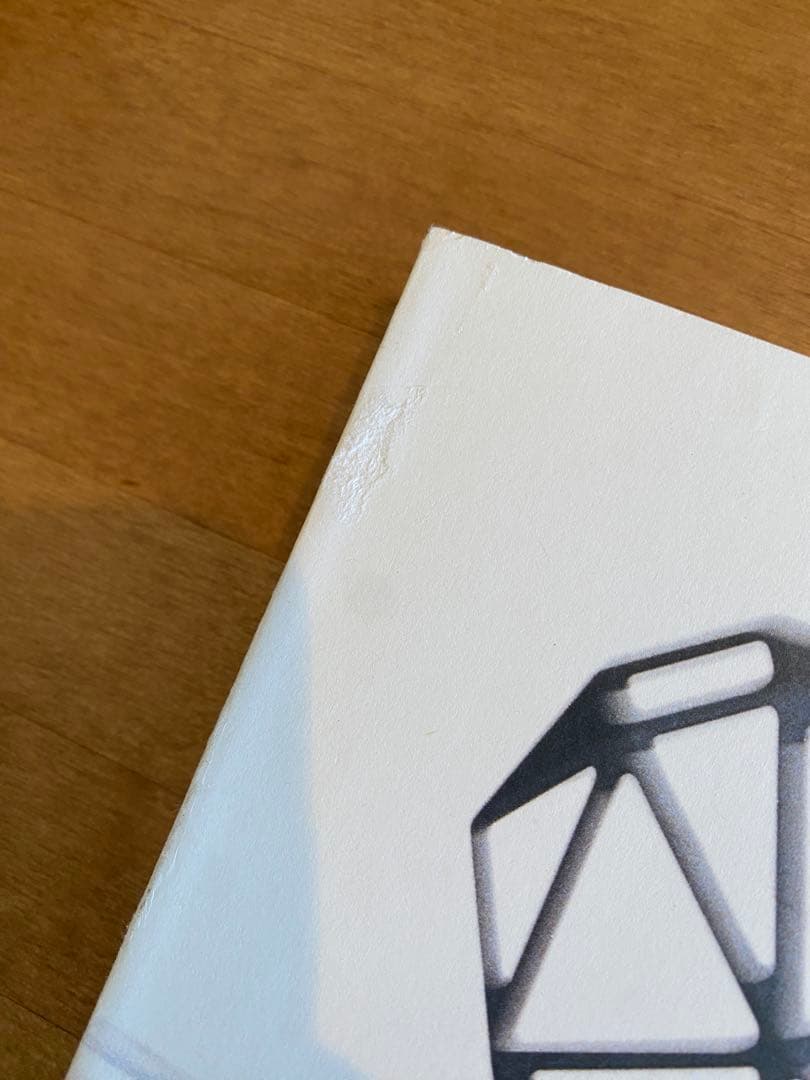 【廃盤】コンスタンティン・グルチッチ PHAIDON 洋書