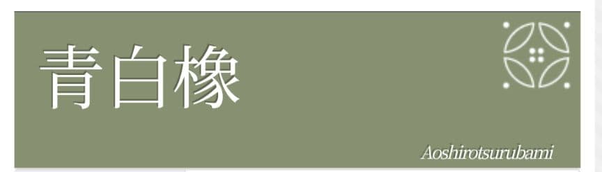 【美品】洗える小紋フルセット　東レシルック　袷　青白橡　波文様　京袋帯