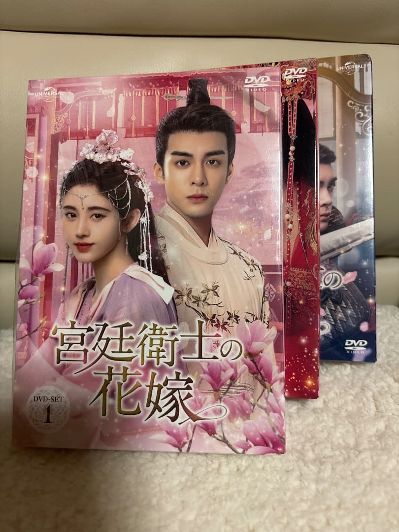 宮廷衛士の花嫁 全話