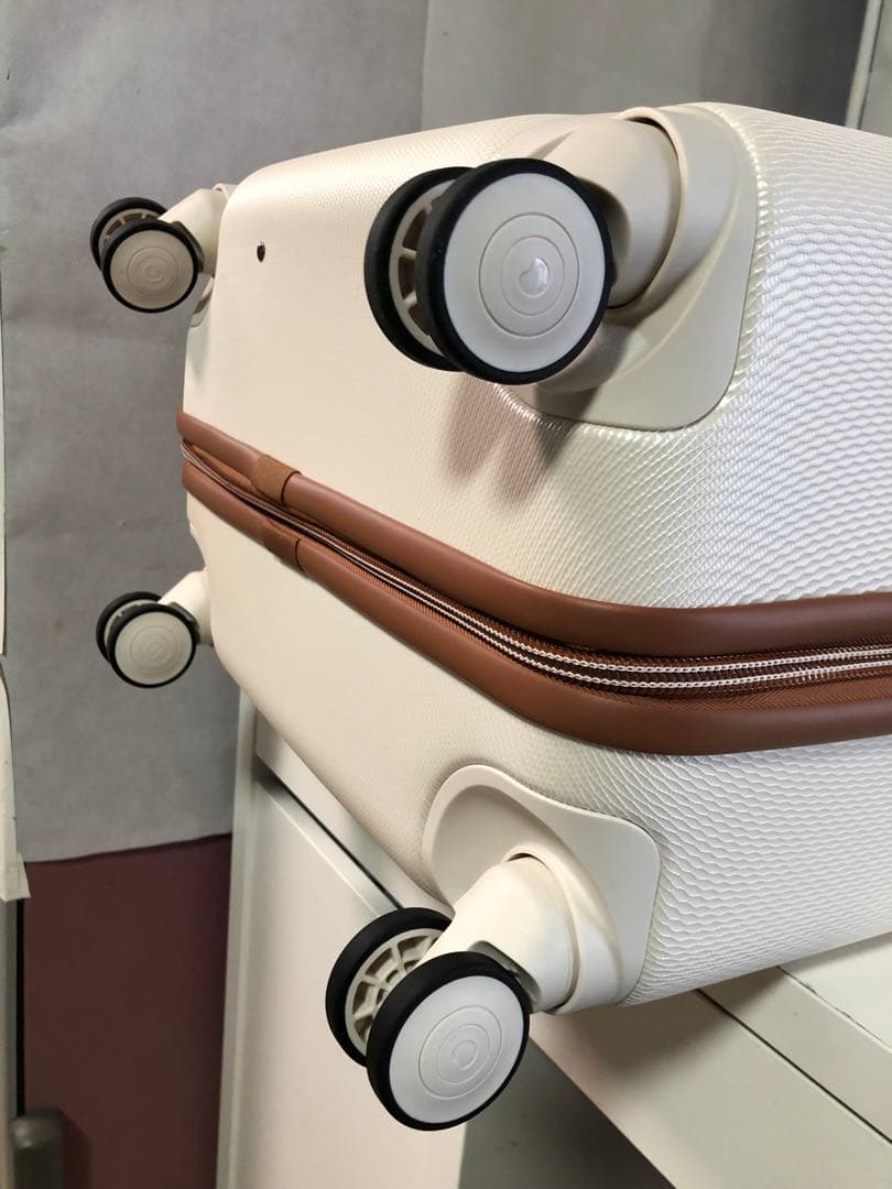 デルセー スーツケース キャリーケース 1676810 69L