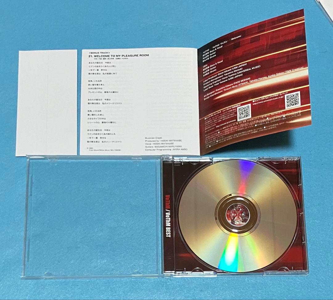 VoThM「VoThM BEST」 直筆歌詞カード ピック ヴォズム 渡辺英樹