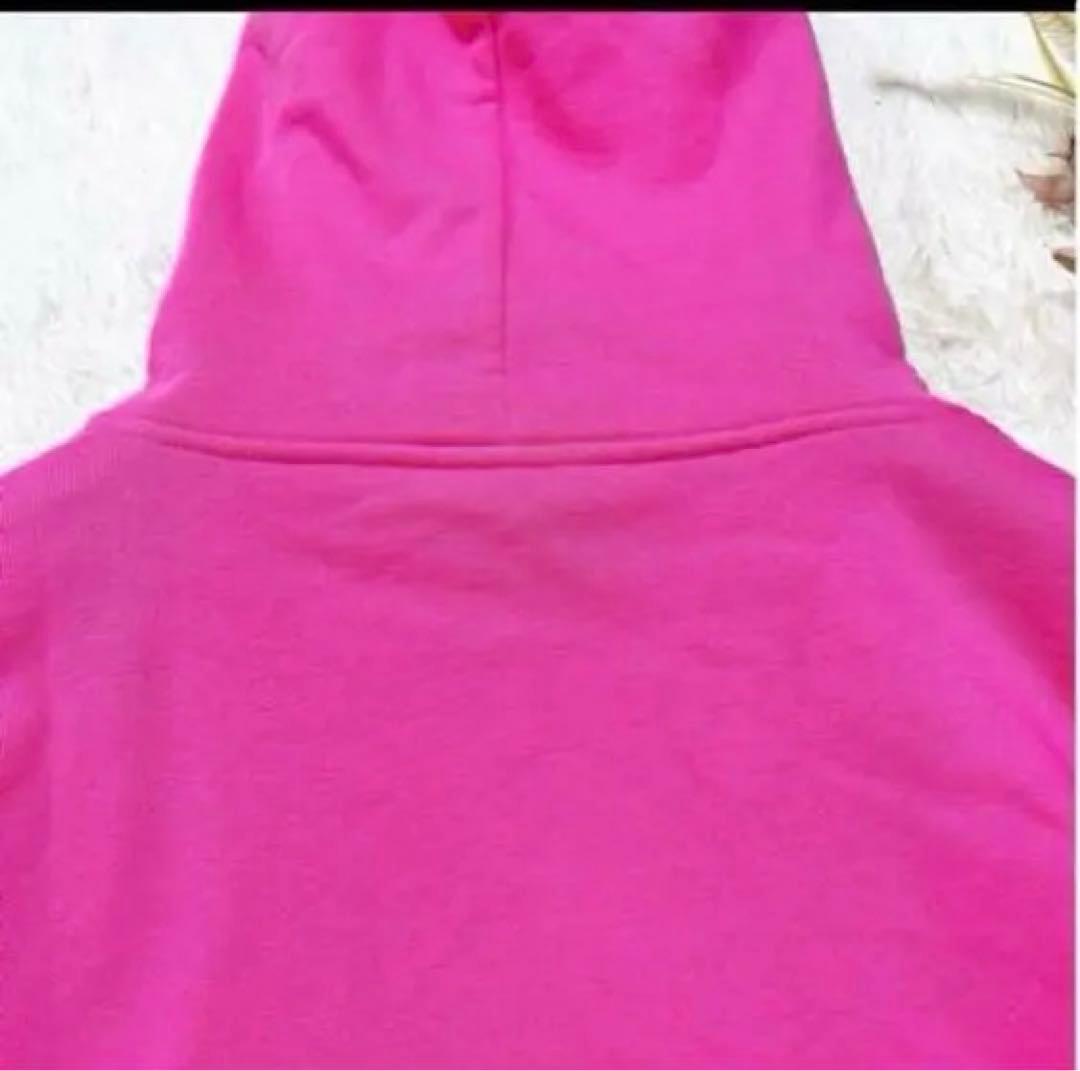 色希少 CELINE ピンク パーカー