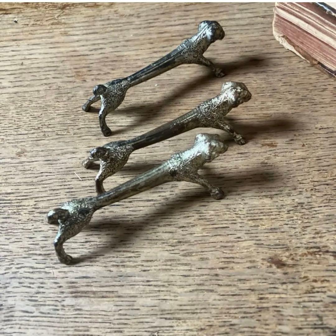 1825年フランスアンティークリトグラフ　フランスアンティーク版画　植物画　大判