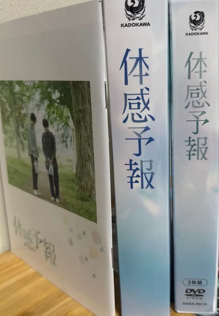 体感予報 DVD KADOKAWA 増子敦貴 樋口幸平