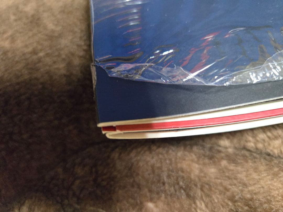 完全限定生産盤 2PM MUST LP