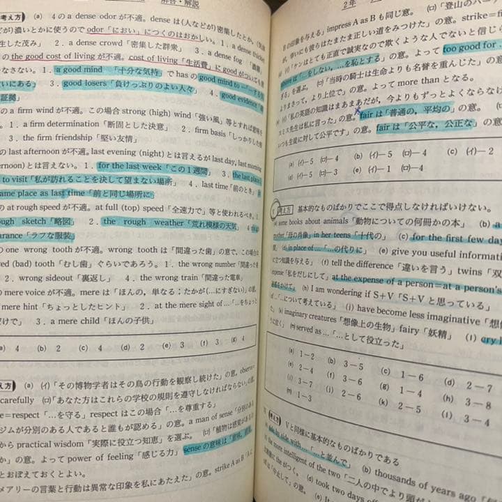 青本　早稲田大学　文学部　1982年～2019年　38年分　駿台予備学校