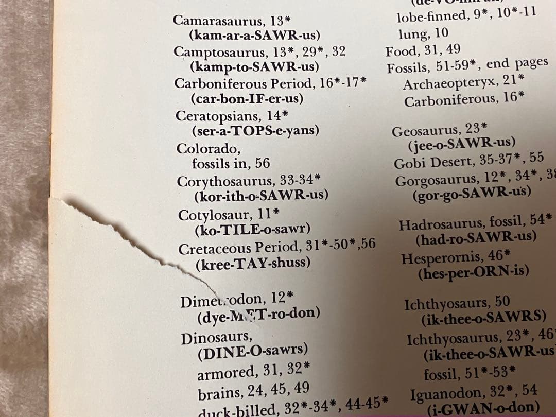 洋書 DINOSAURS and Other Prehistoric Reptiles