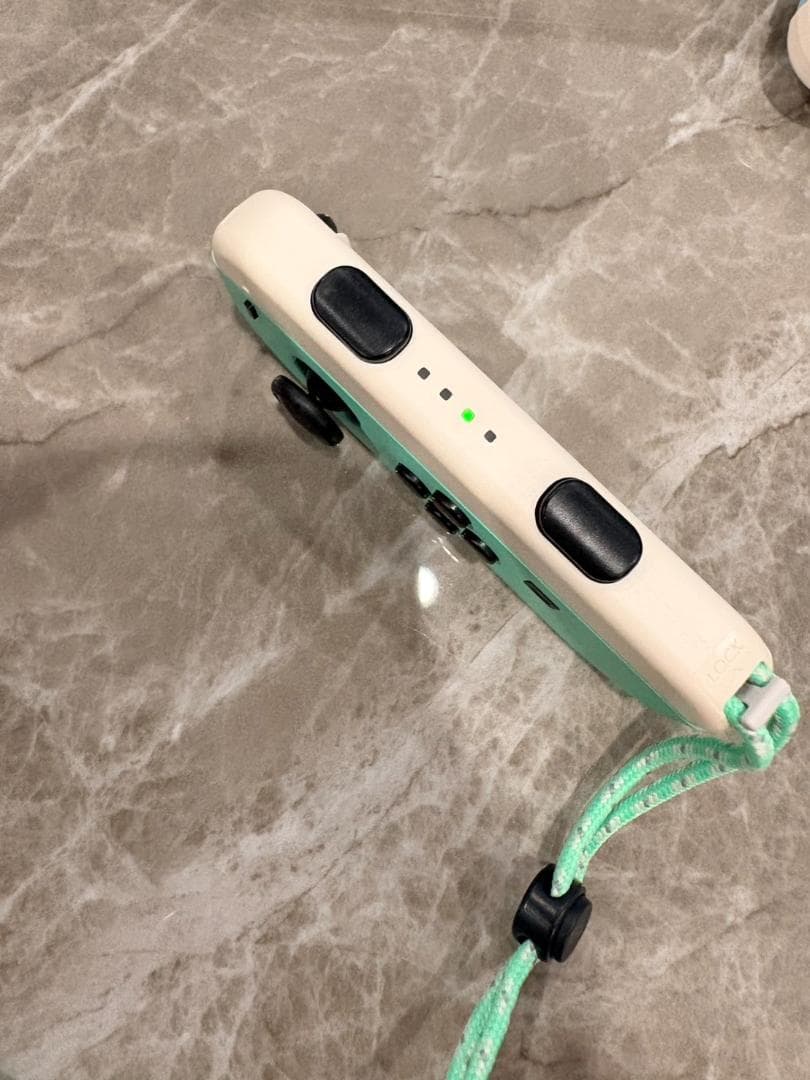 特別版 Nintendo Switch あつまれ どうぶつの森セット