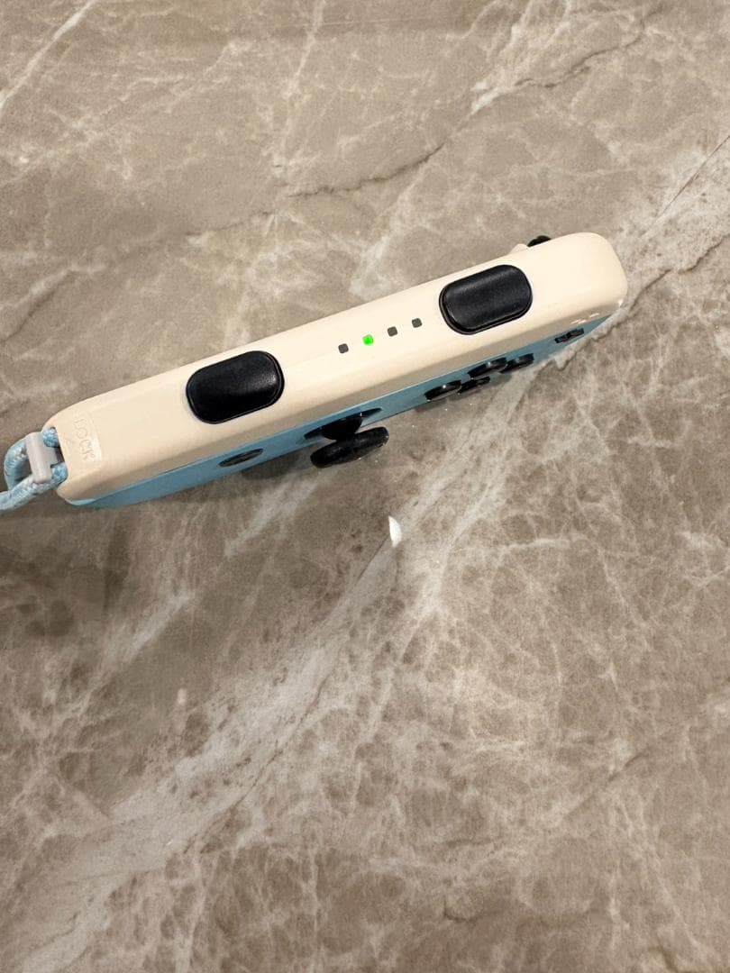 特別版 Nintendo Switch あつまれ どうぶつの森セット