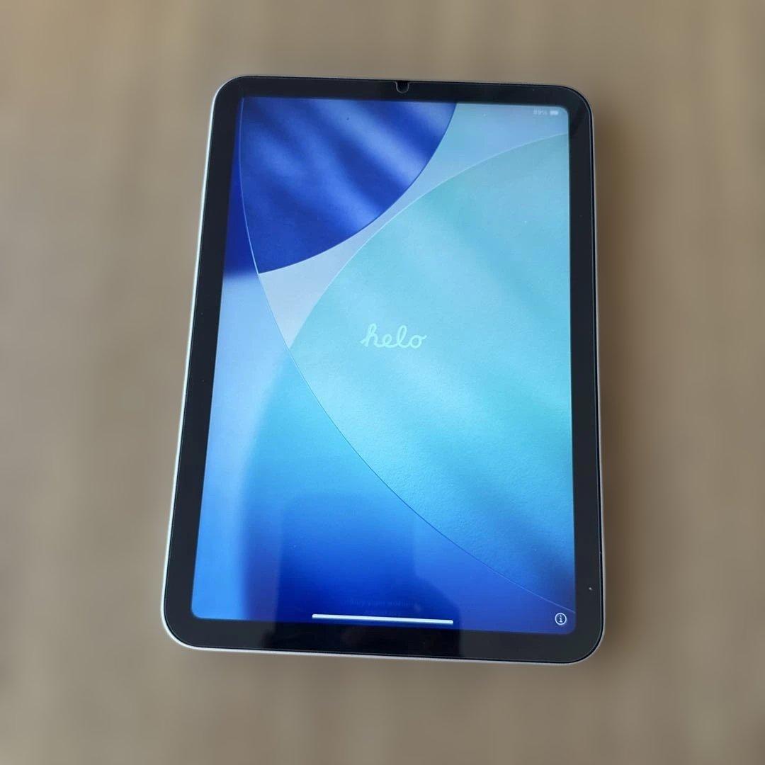 Pad mini 第6世代 256GB WiFi Apple Pencil付き