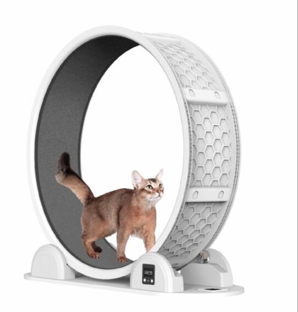 N*Q様 キャットホィール　美品