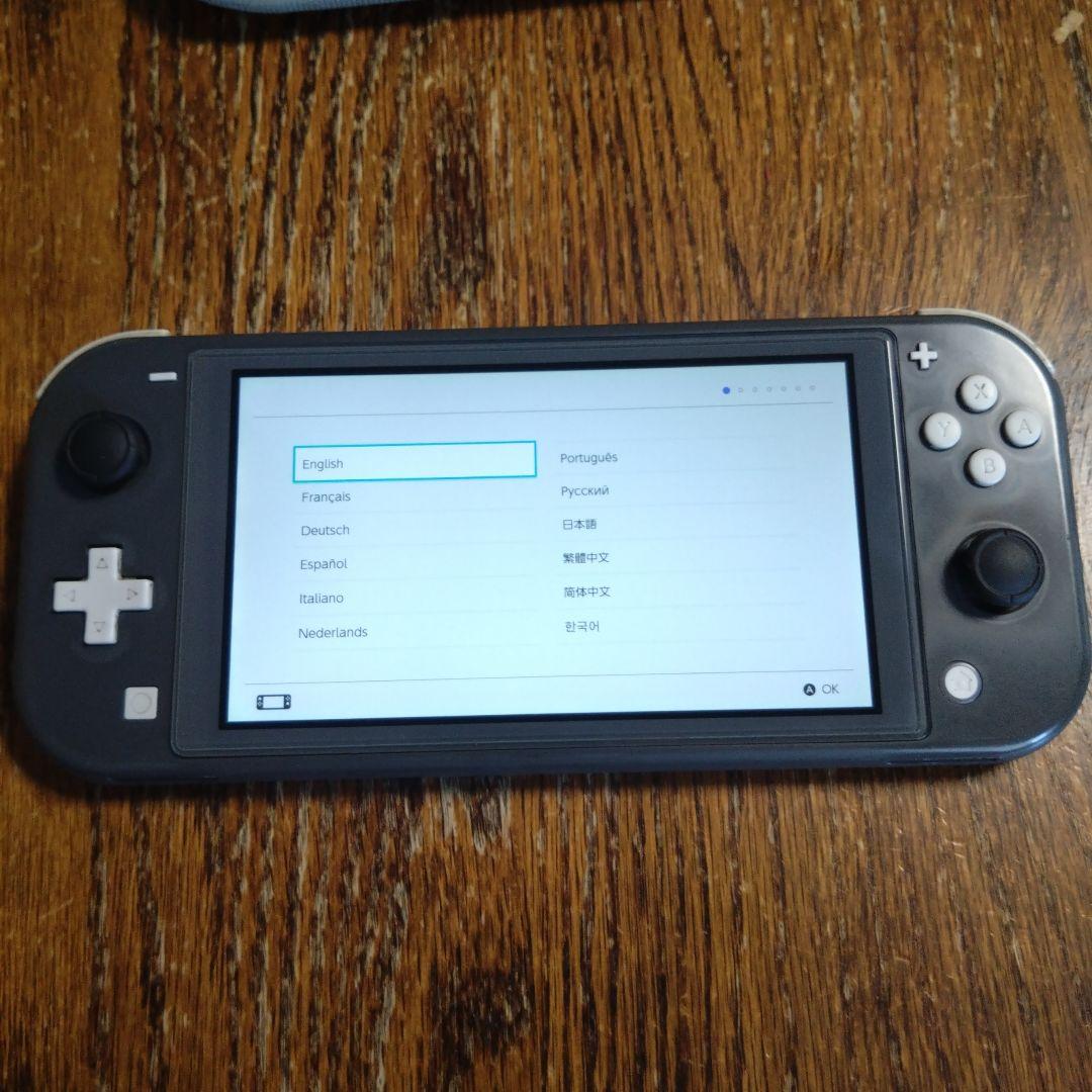 Nintendo Switch Lite グレー　動作確認済