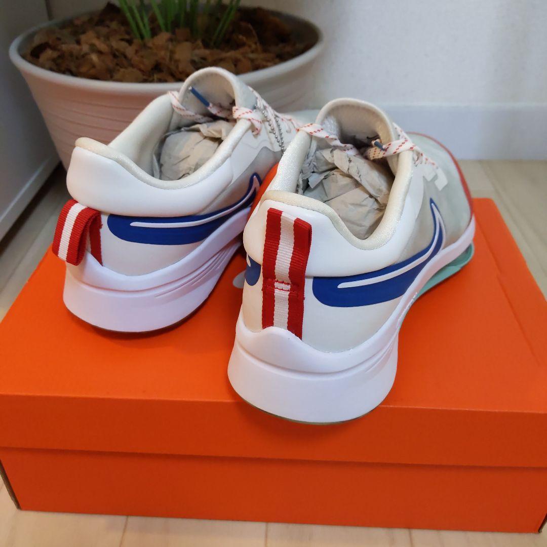 値下げ【限定】NIKE エアズームインフィニティツアー NEXT% 26.0cm