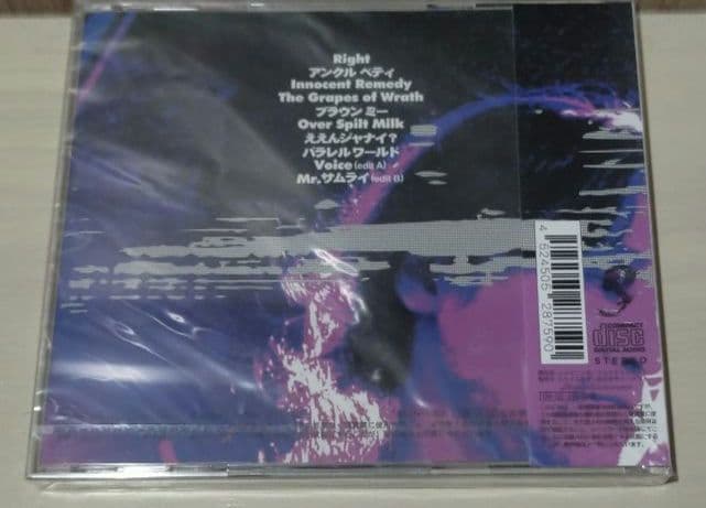 成田昭次 パラレルワールド