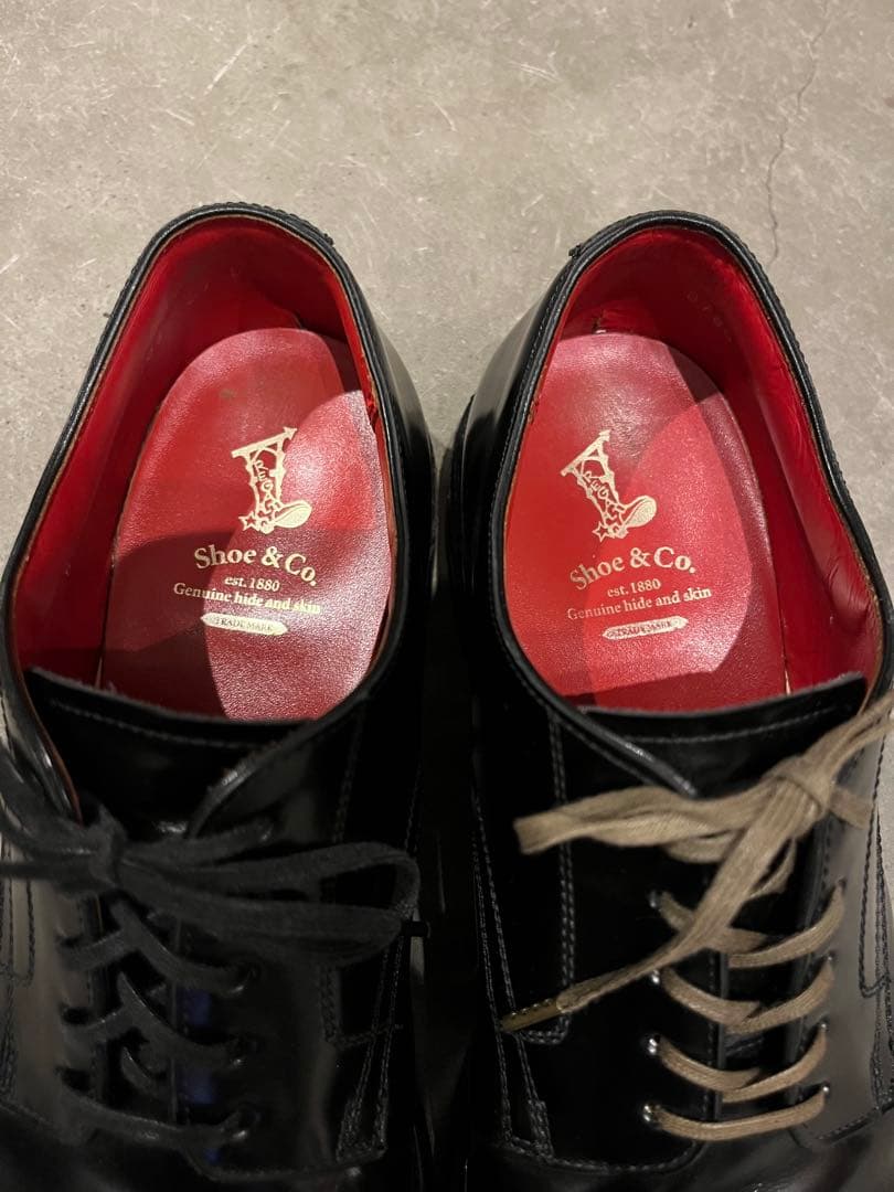 REGAL Shoe & Co 810S plain toe shoes 27㎝