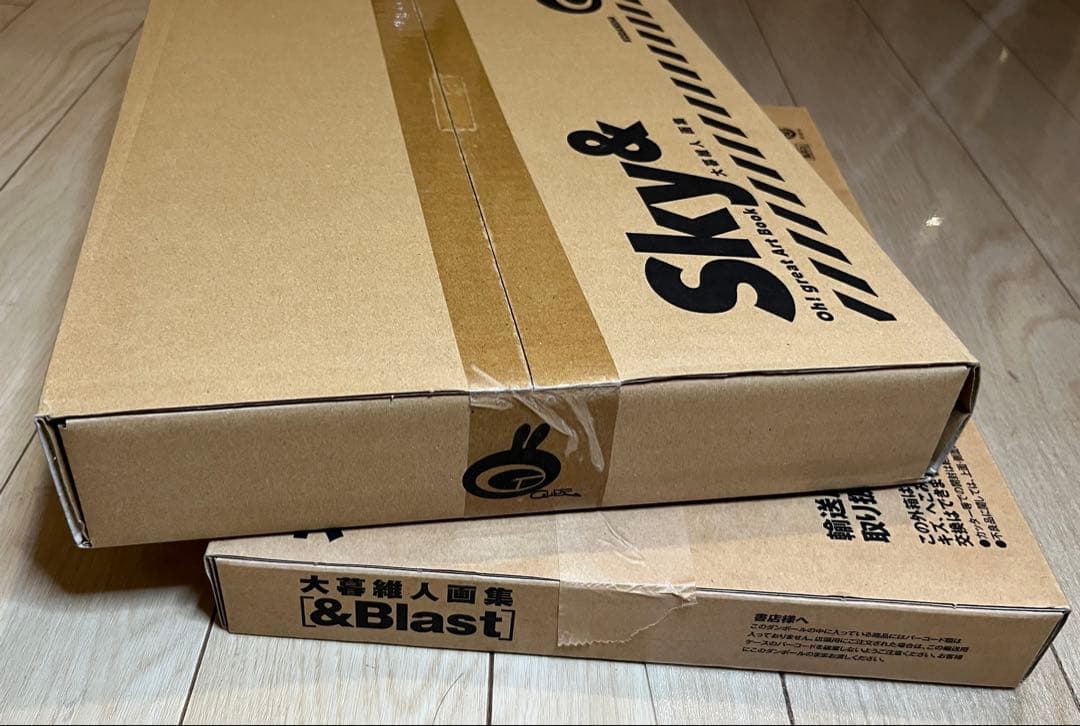 【新品未開封】大暮維人画集 [Sky&] [&Blast]