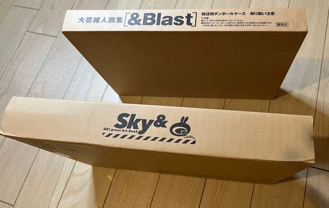 【新品未開封】大暮維人画集 [Sky&] [&Blast]