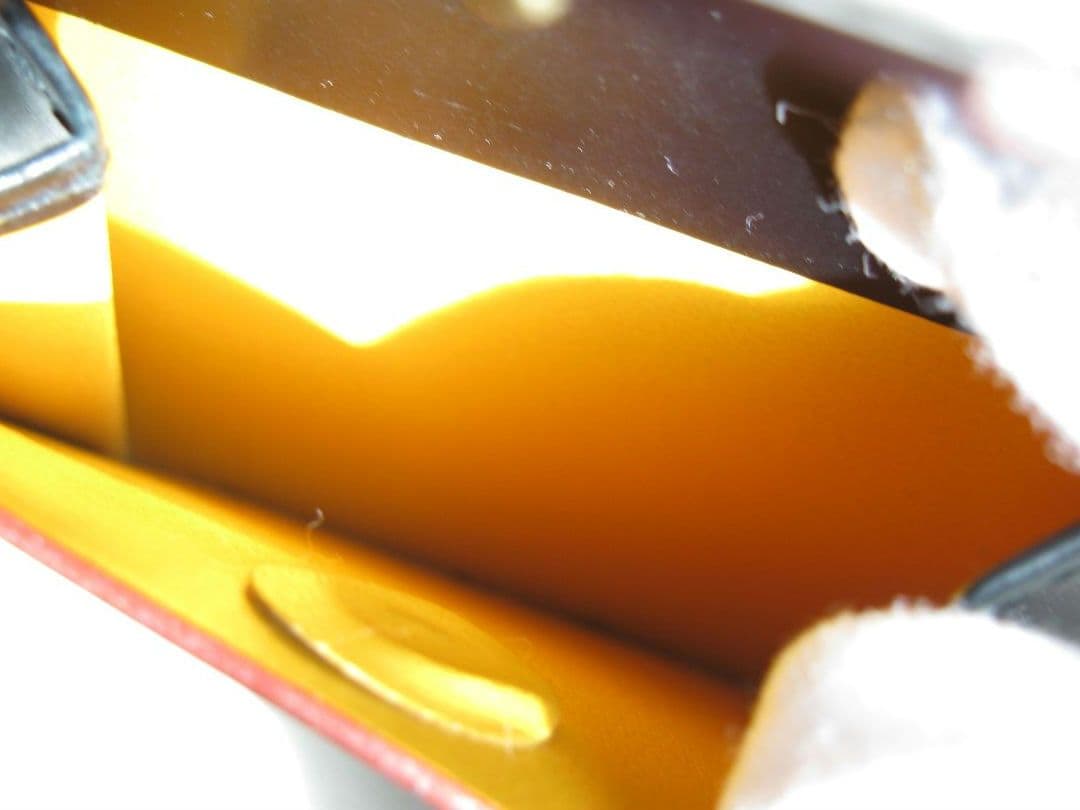 ガンゾ シェルコードバン２　小銭入れ付き 二つ折り財布　黒