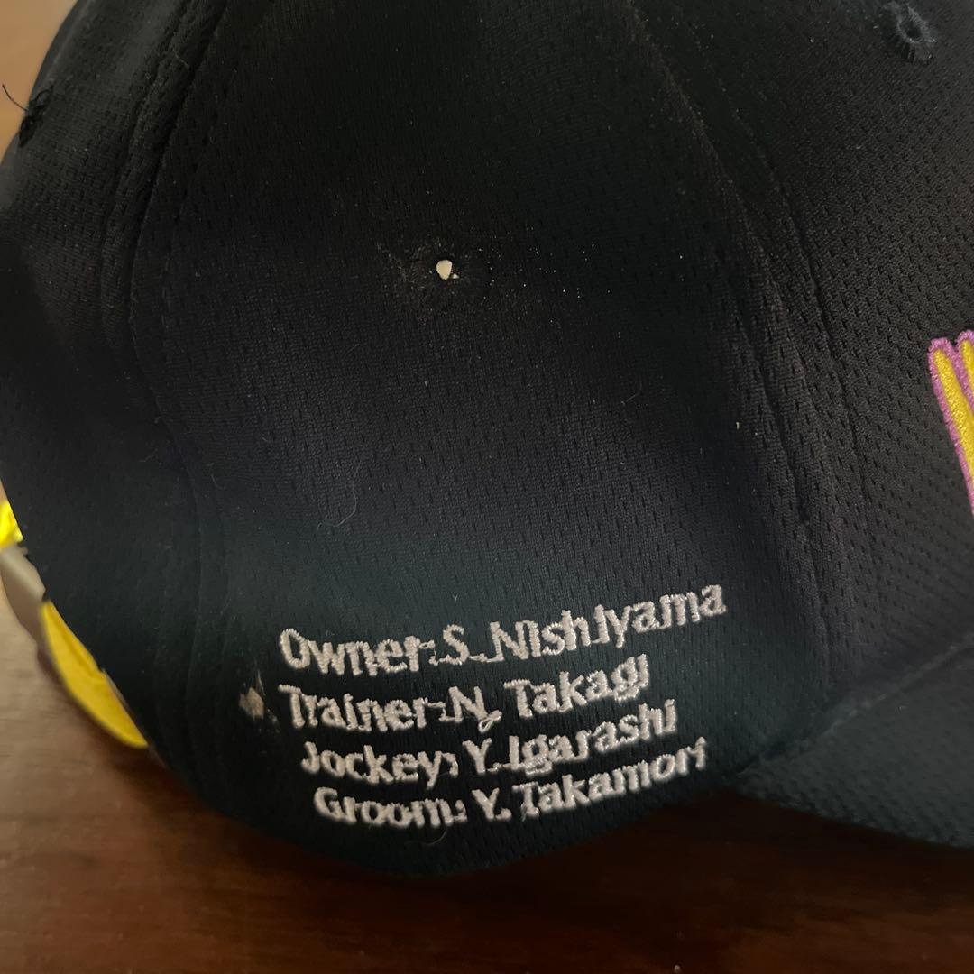 JRA 高木厩舎 NISHINO DAISY 第145回 中山大障害 JGI