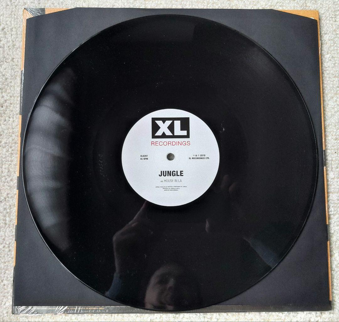 Jungle レコード2枚