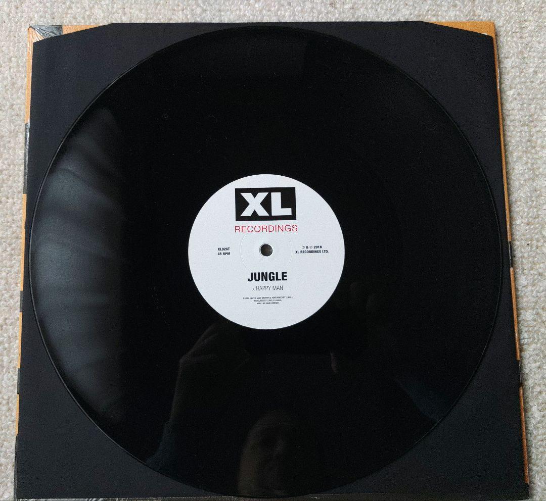 Jungle レコード2枚