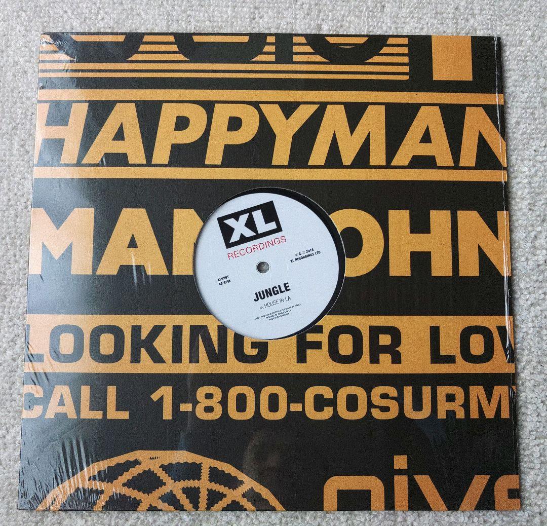 Jungle レコード2枚