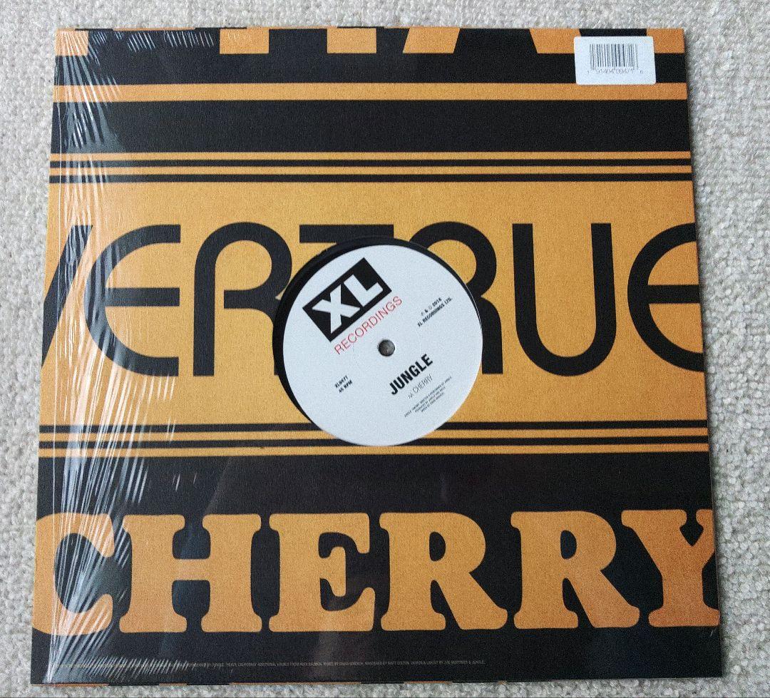 Jungle レコード2枚