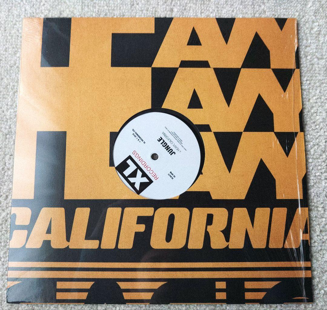 Jungle レコード2枚