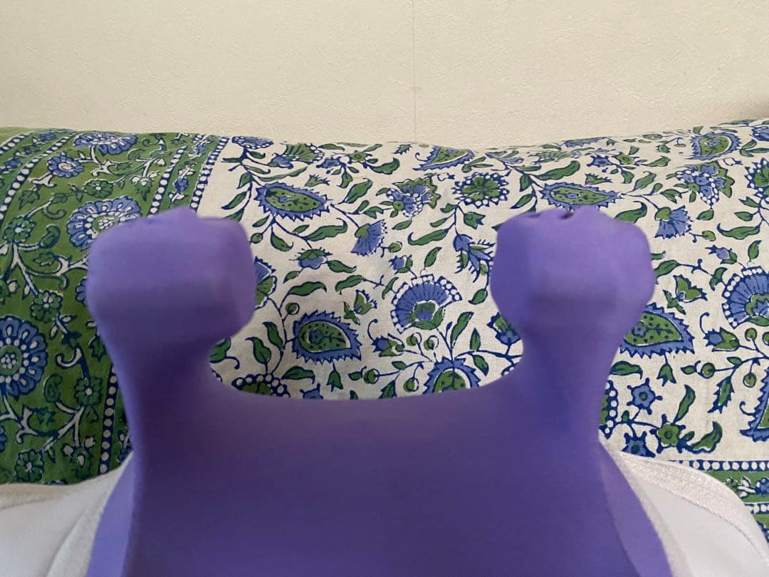 【美品】　PULIO プリオ　首肩