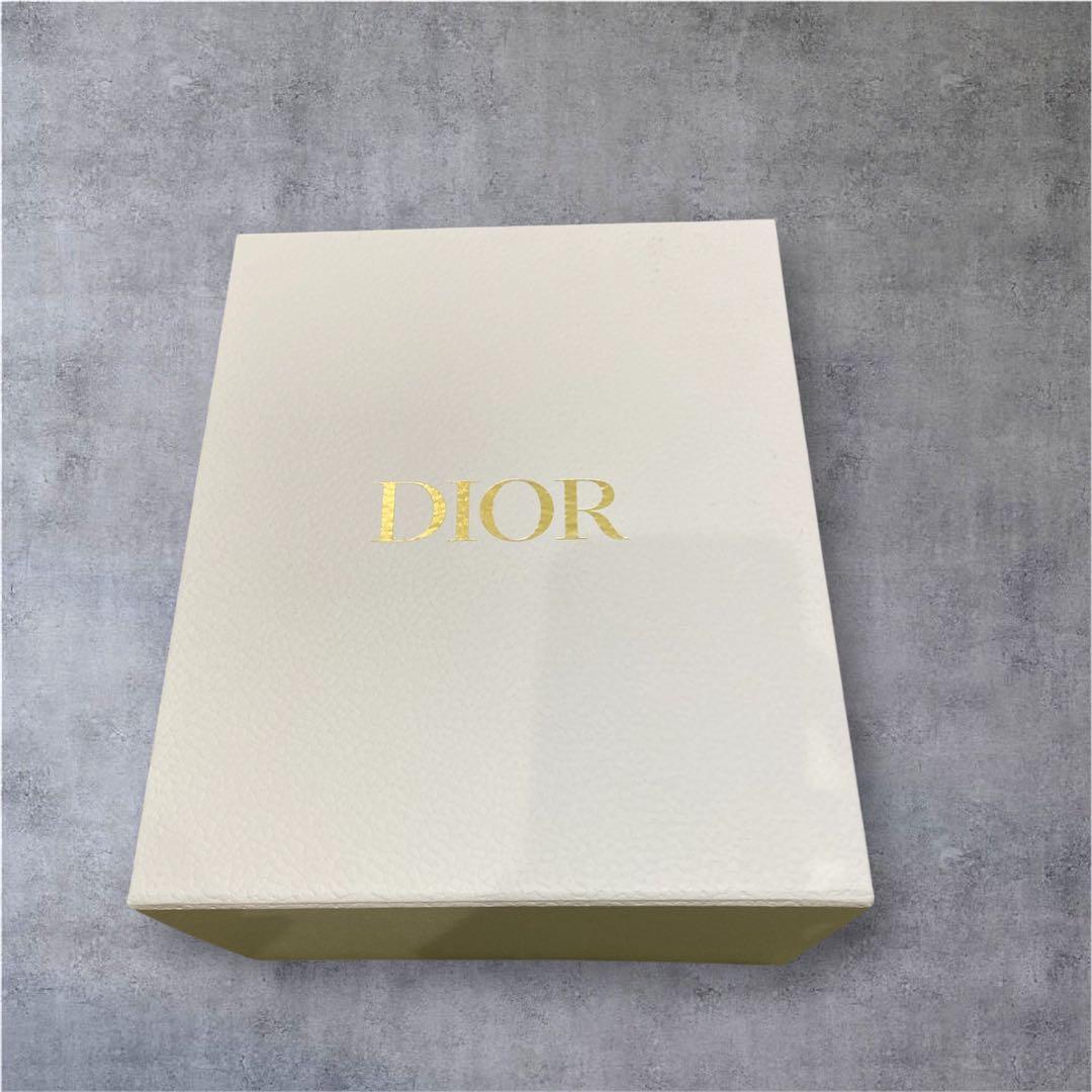 CHRISTIAN DIOR ディオール ステンレス水筒 タンブラーボトル