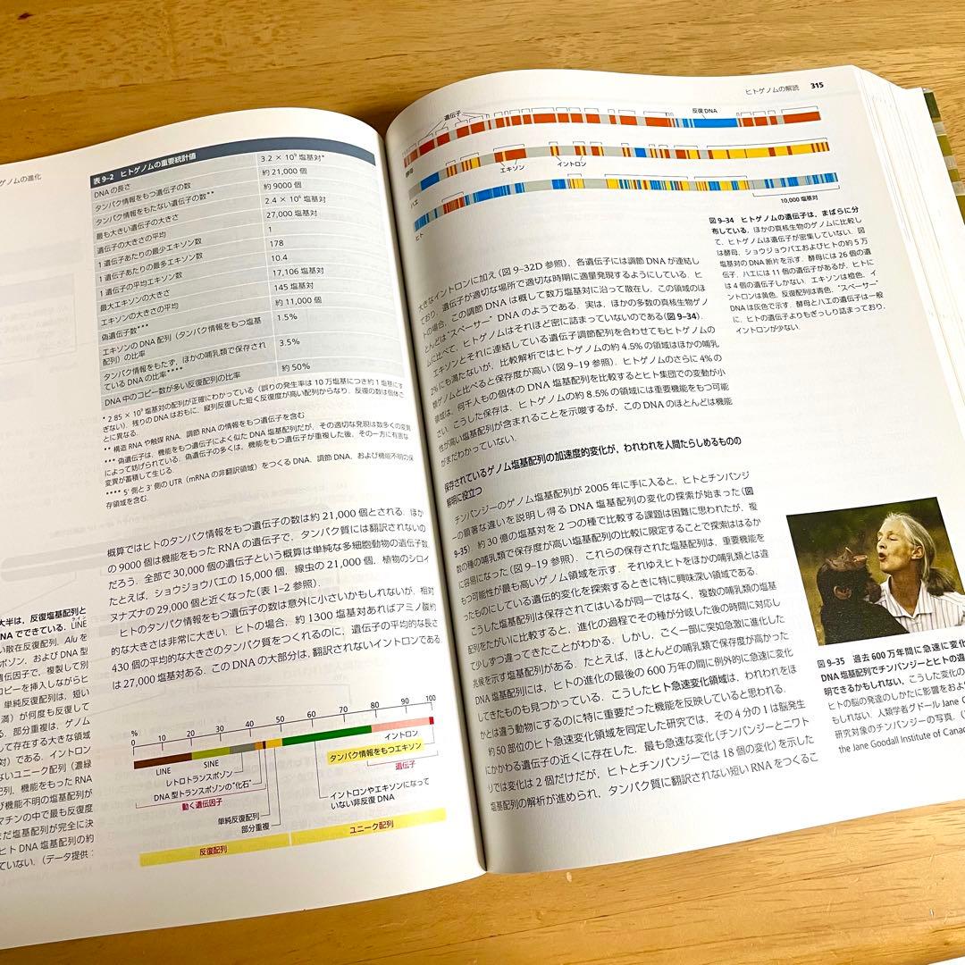 【美品】基礎医学 参考書 6冊セット