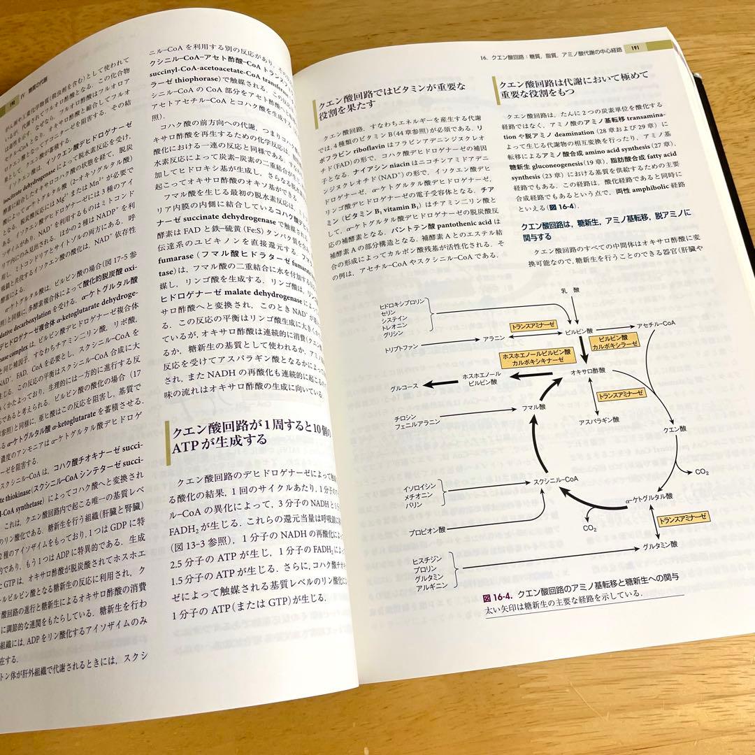 【美品】基礎医学 参考書 6冊セット