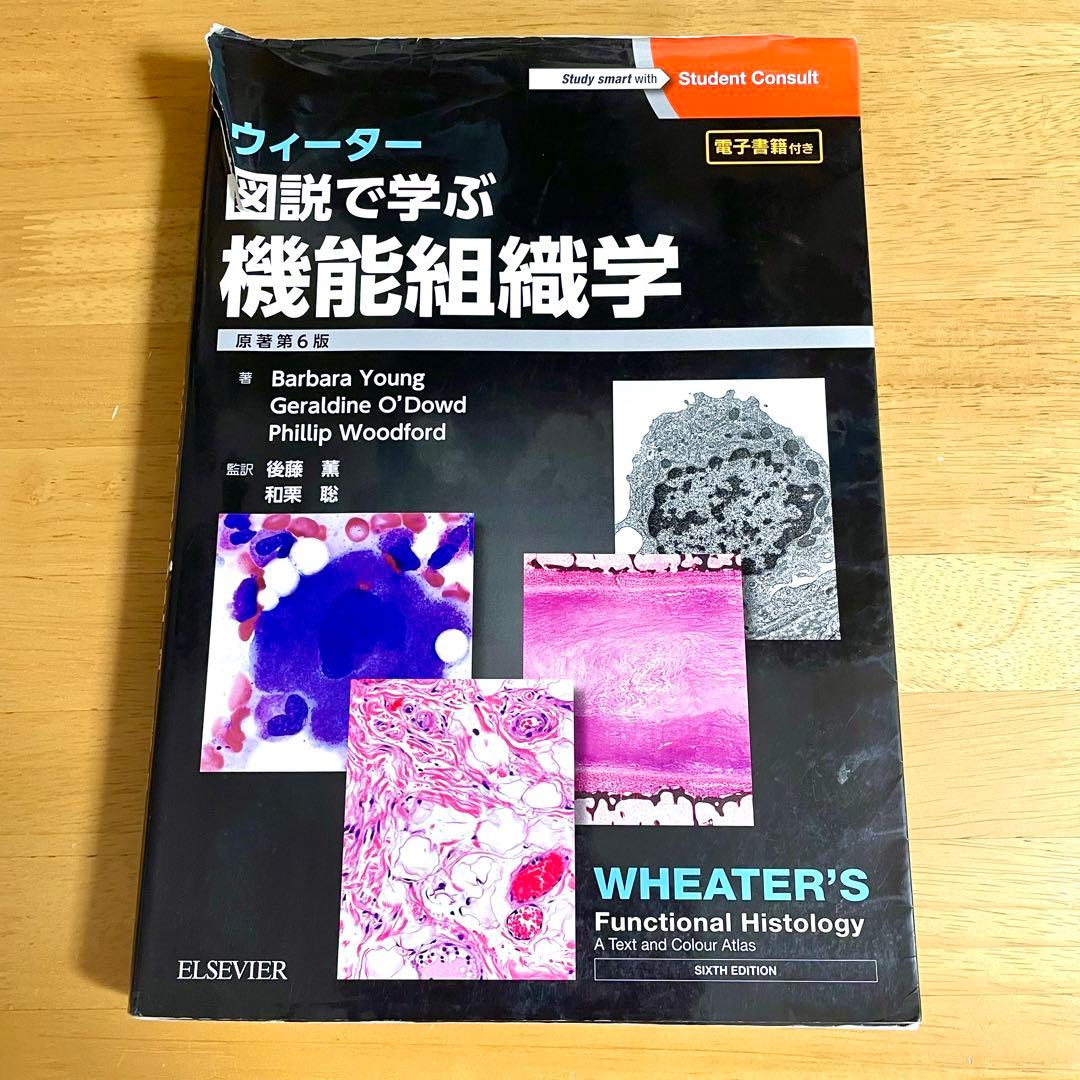 【美品】基礎医学 参考書 6冊セット