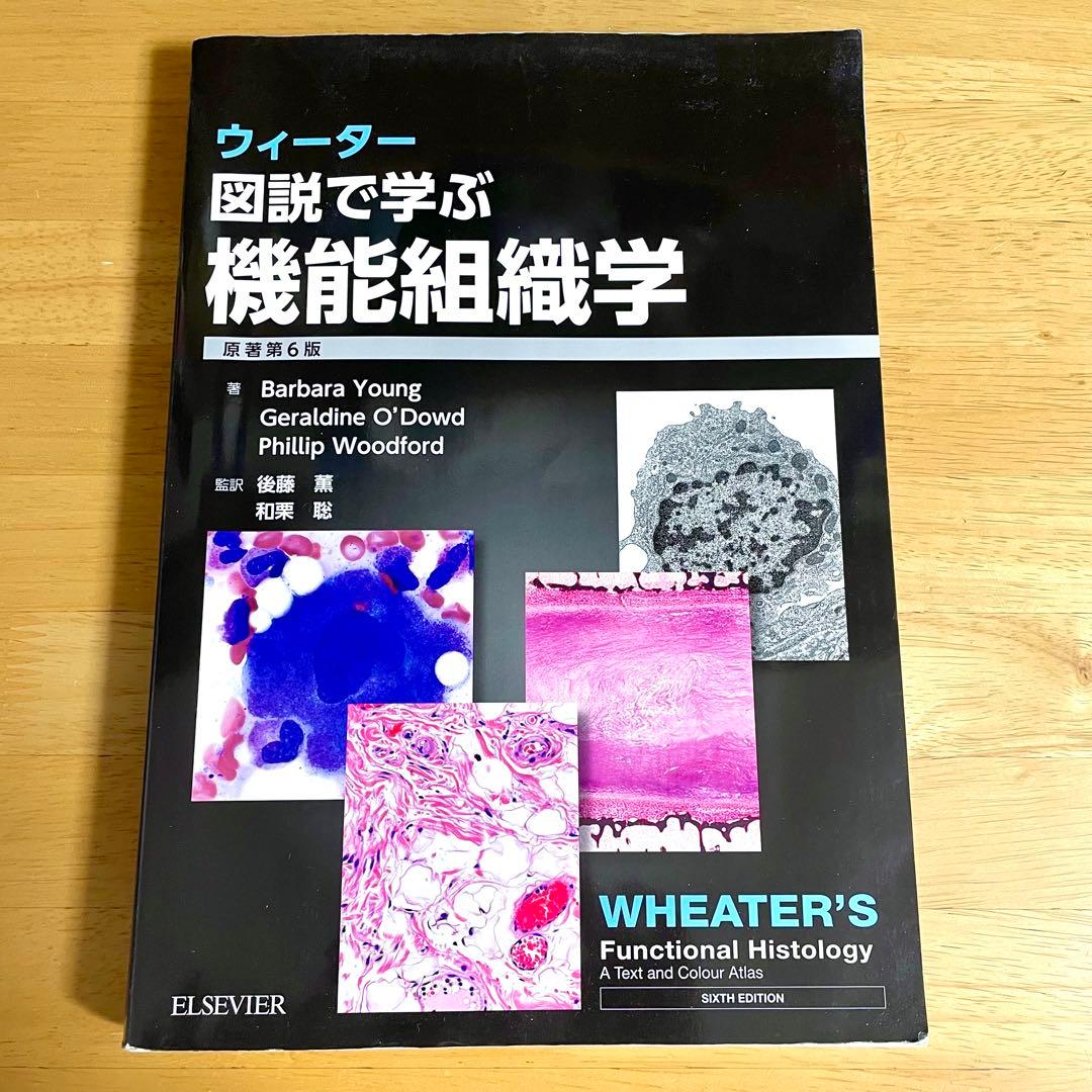 【美品】基礎医学 参考書 6冊セット
