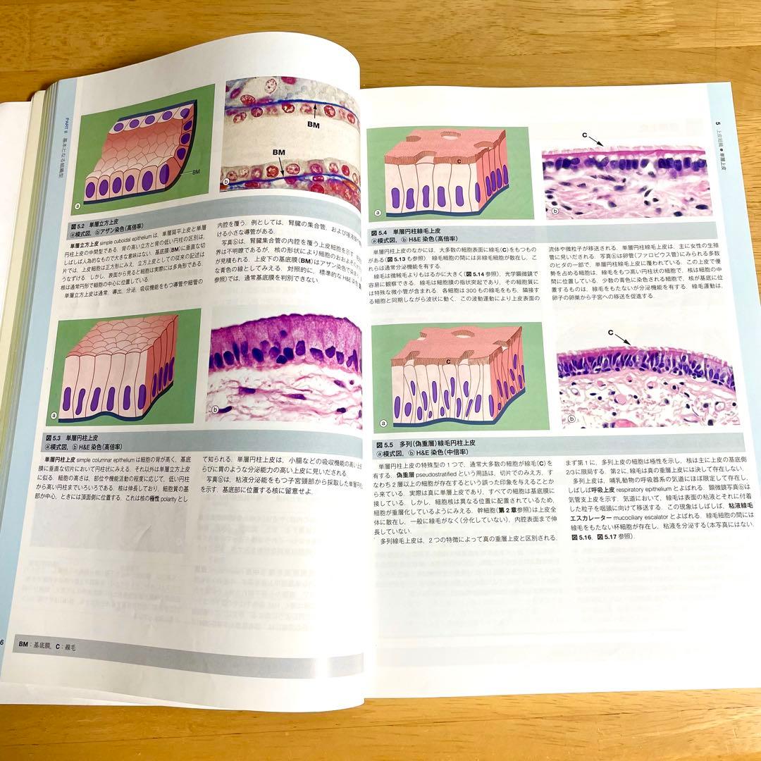 【美品】基礎医学 参考書 6冊セット