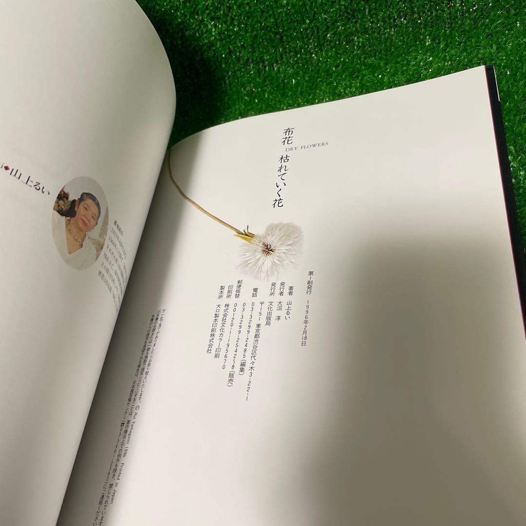 【美品】山上るい 枯れていく花