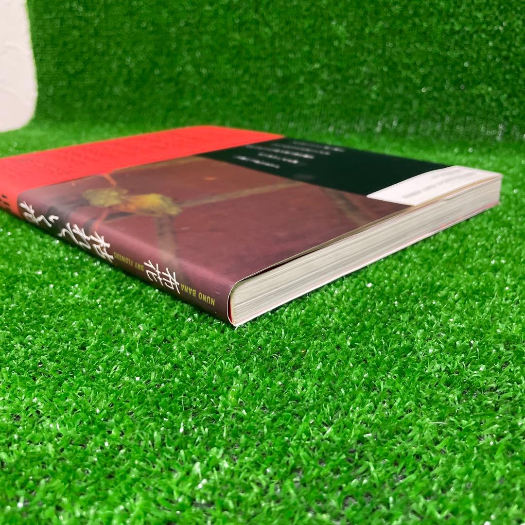 【美品】山上るい 枯れていく花